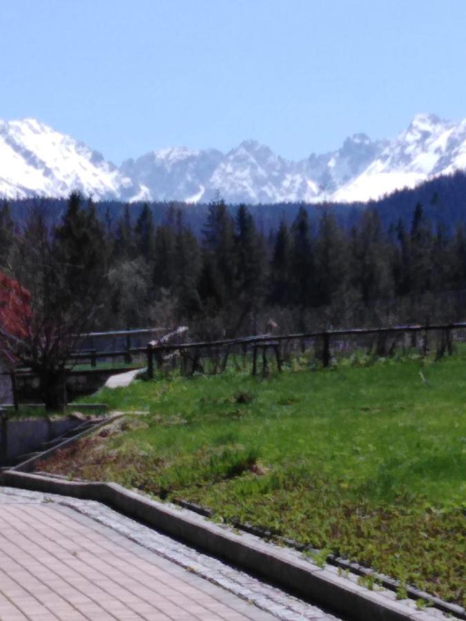 Willa Marysienka Bed & Breakfast Zakopane Bagian luar foto