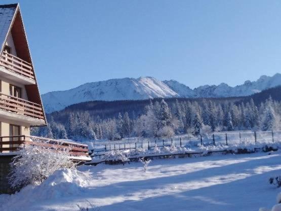 Willa Marysienka Bed & Breakfast Zakopane Bagian luar foto